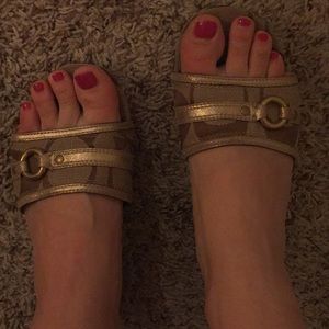 Coach Platform Wedge Sandals